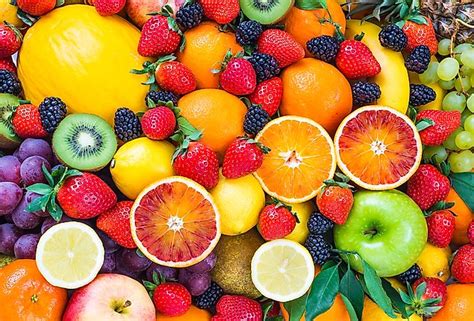 youjizz.com/most-popular/3.html|Most Popular Fruits In The World .